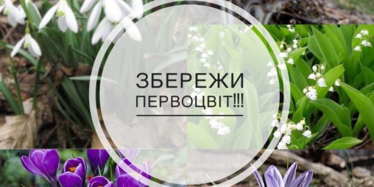 Фото: https://mykolaivmr.gov.ua/wp-content/uploads/2023/02/dodajte-zagolovok-3-730x365.jpg